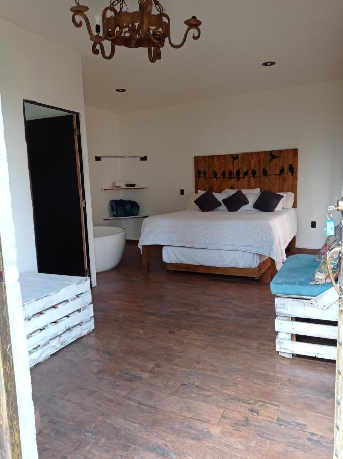 Hotel Cabanas Azul Tequilana Arandas 外观 照片